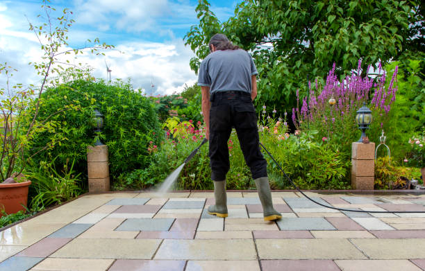 Best Driveway Cleaning and Restoration in Mount Rainier, MD