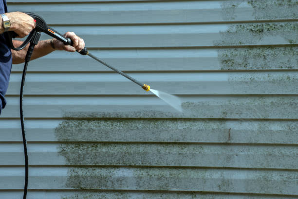 Best Building Exterior Pressure Washing in Mount Rainier, MD